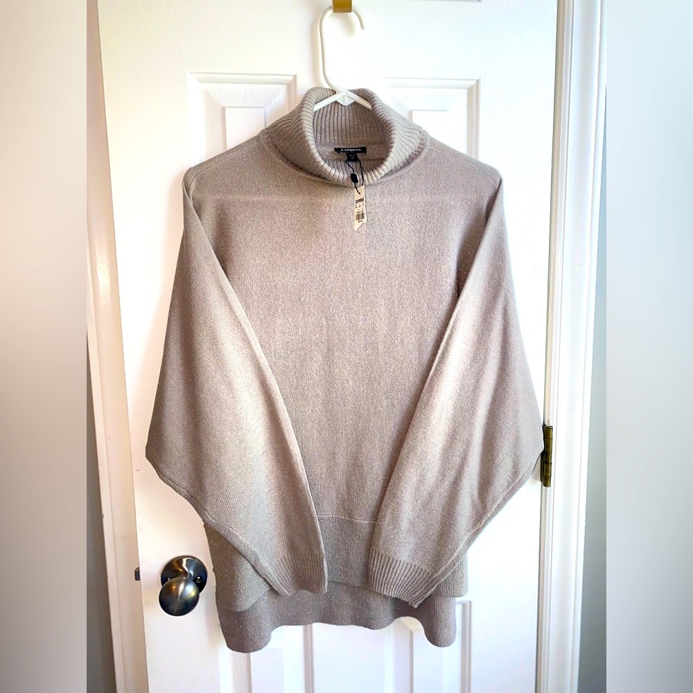 NWT EXPRESS SWEATSHIRT